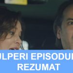 Gulperi Episodul 20 Rezumat