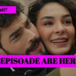 Cate episoade are Hercai