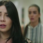 Aripi Frante Ultimul Episod Rezumat