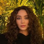 Inelul cu Safir Episoadele 29 si 30 Rezumat