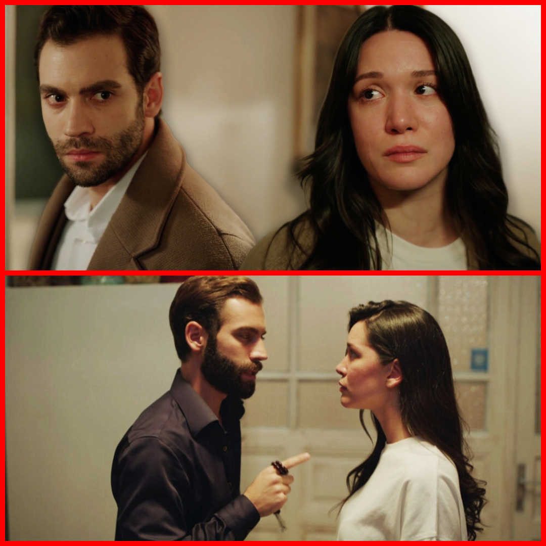 Ai Nimanui Episodul 49 Rezumat