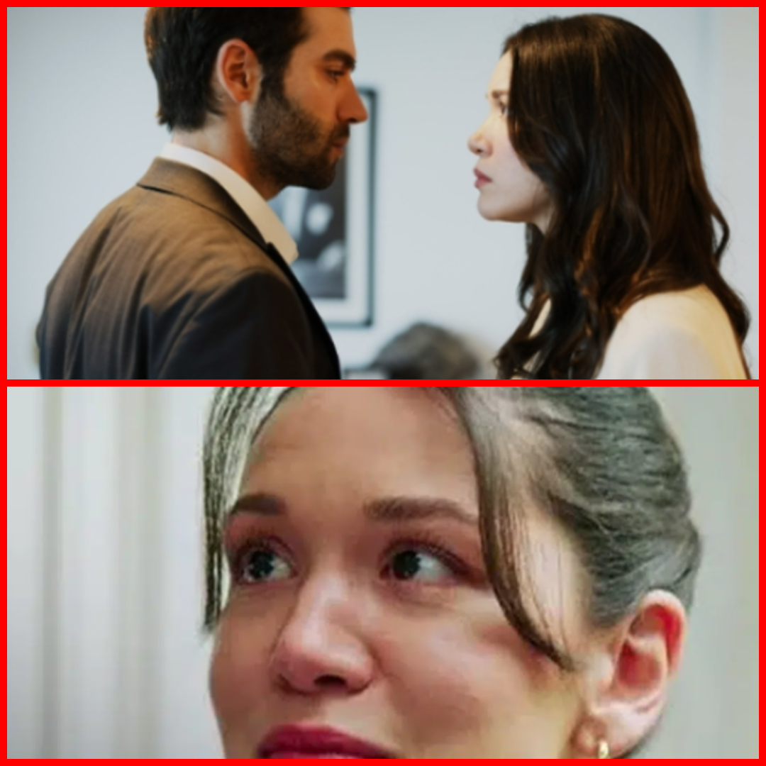 Ai Nimanui Episodul 50 Rezumat